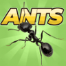 口袋蚂蚁模拟器手机版