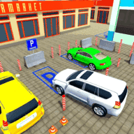 多车位停车模拟器游戏（Parking Game）