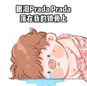 Prada的眼泪PradaPrada地掉表情包
