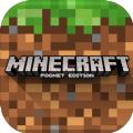 我的世界java版1.17pre3(Minecraft)