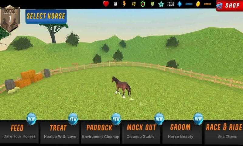 德比赛马模拟器(Derby Horse Racing)