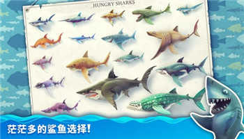 饥饿鲨世界国际服无限珍珠钻石金币