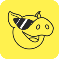 豪猪网极速版app
