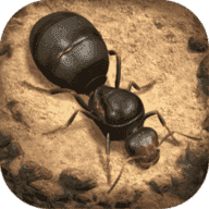 小小蚁国国际服特化蚁