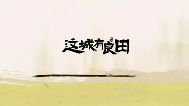 这城有良田魔改版