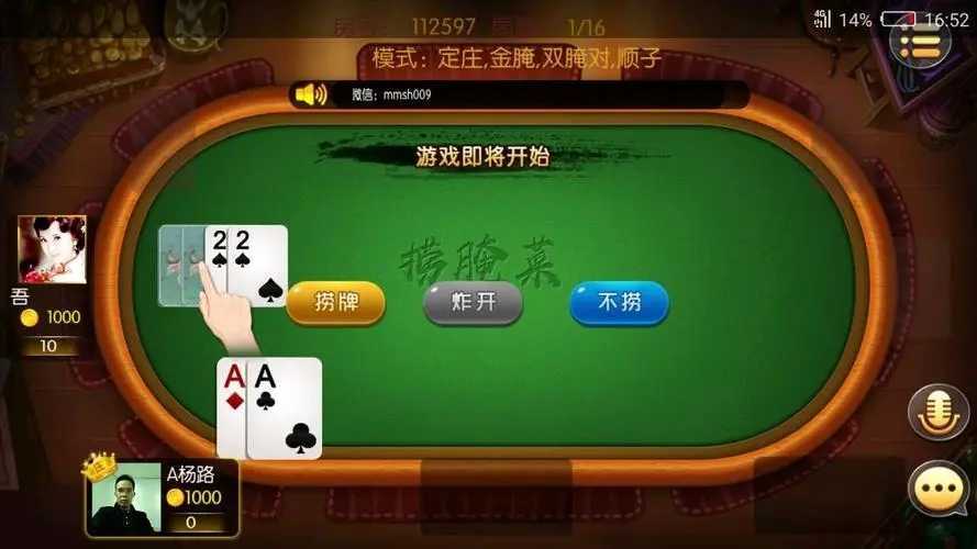 云南捞腌菜手机游戏