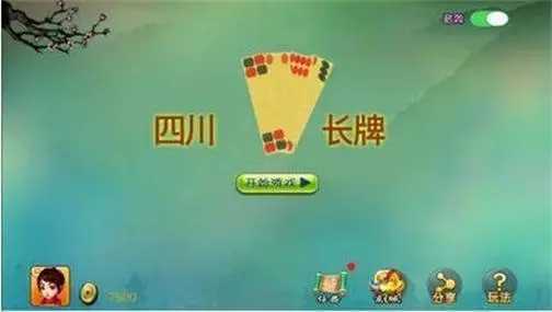 小南四川长牌广元