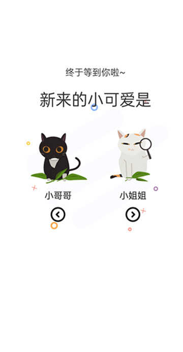 喵上漫画app最新2025版