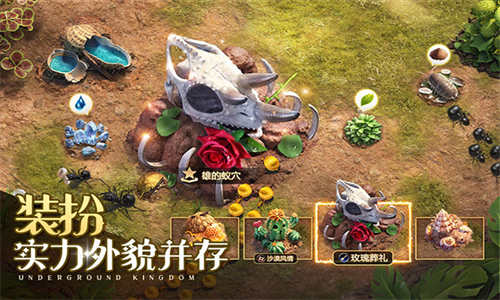 小小蚁国内购版