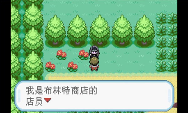 口袋妖怪火红叶绿版金手指