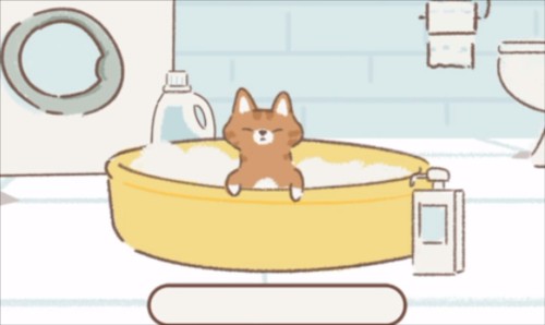 遇见你的猫最新版