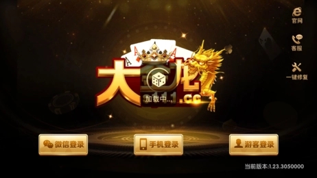 大金龙网络平台游戏