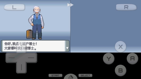 口袋妖怪钻石中文版
