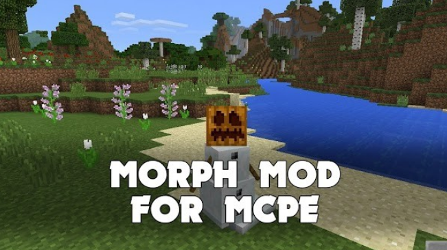 我的世界变形模组Morph Mod