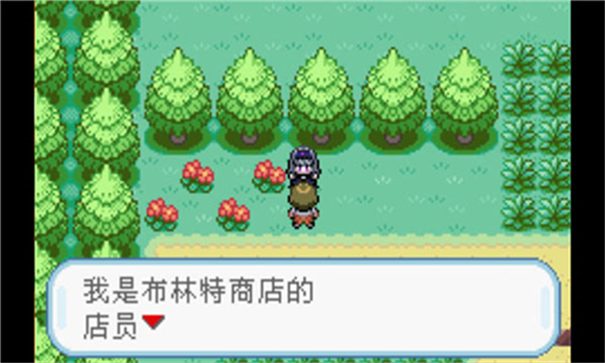 口袋妖怪火红内置作弊菜单