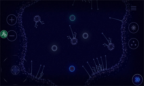 微生物模拟器中文版免费