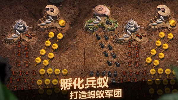 小小蚁国内置作弊菜单版