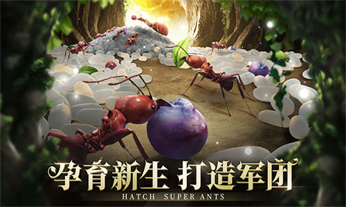 小小蚁国真实蚁巢