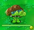 植物大战僵尸转基因版