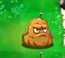 植物大战僵尸转基因版