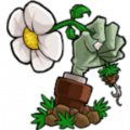 pvz植物大战僵尸lzsc