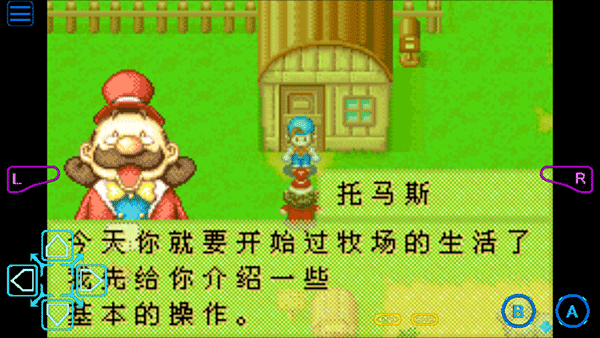 新手攻略6