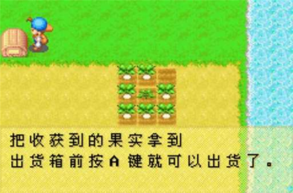 牧场物语矿石镇的伙伴们金手指