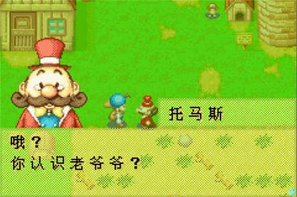 牧场物语矿石镇的伙伴们金手指