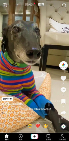 抖音国际版tiktok
