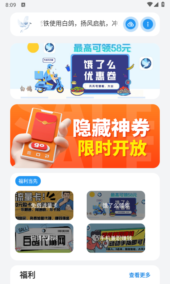 熊盒子白鸽