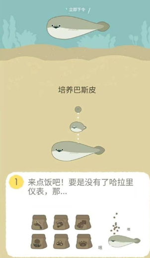 萨卡班甲鱼玩法介绍