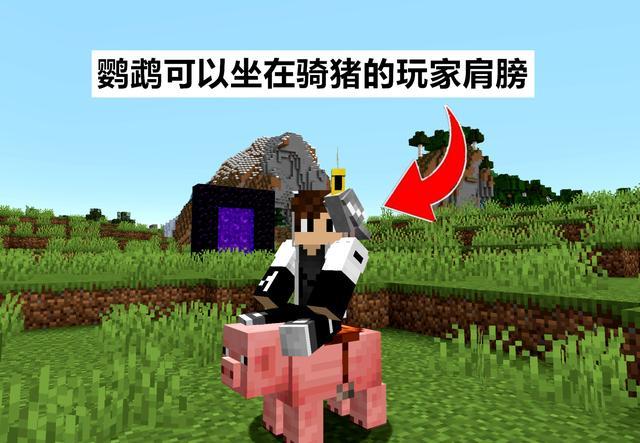 我的世界烦人的村民