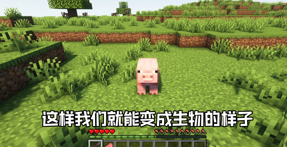 我的世界变形模组