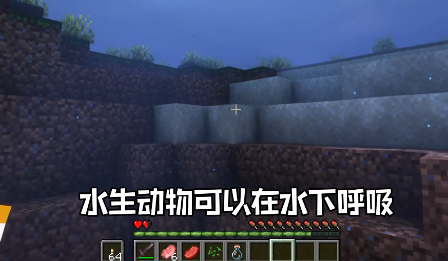 我的世界变形模组