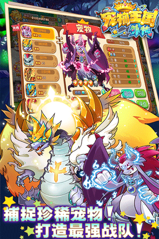 宠物王国外传单机版999999级神宠
