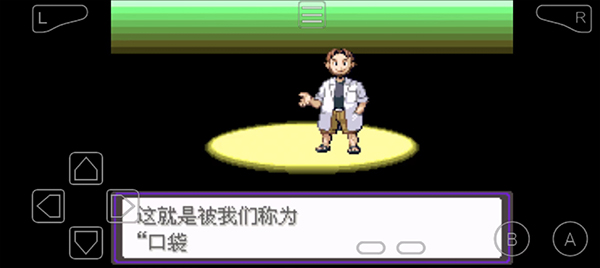 口袋妖怪漆黑的魅影5.0exbw版