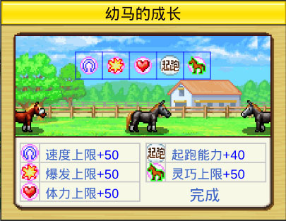 赛马牧场物语无限金币