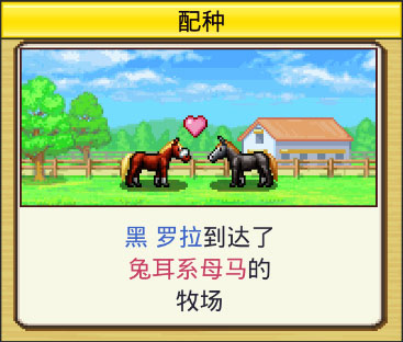赛马牧场物语无限金币