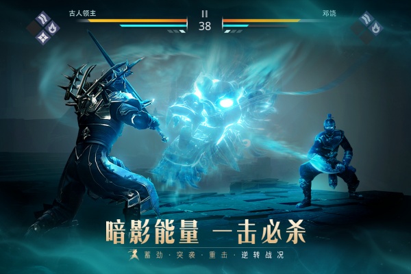暗影格斗3全武器满级
