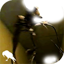 暗房backrooms联机版