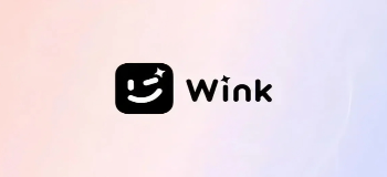 wink软件
