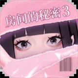 房间的秘密3女团回归夜游戏