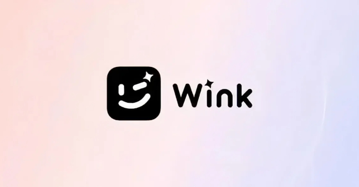 wink软件