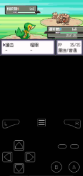 口袋妖怪漆黑的魅影5.0金手指