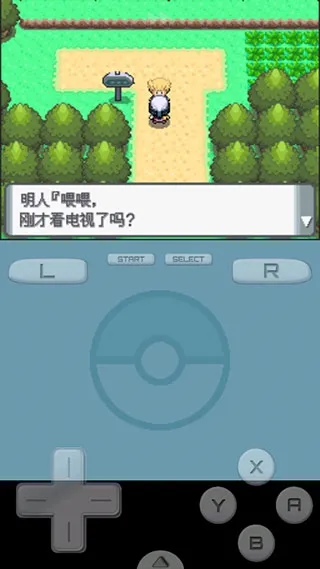 口袋妖怪钻石复刻附金手指版