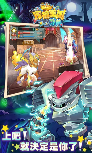 宠物王国外传无限满级神兽版
