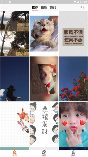 啵乐软件