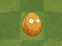 植物大战僵尸2无限阳光无限金币