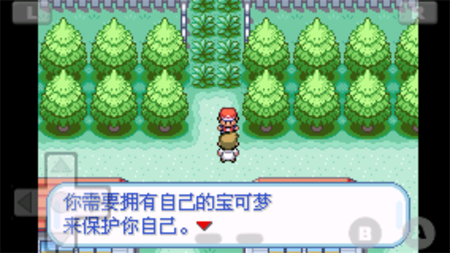 口袋妖怪火红汉化版