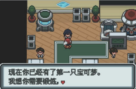 nds口袋妖怪白金汉化版